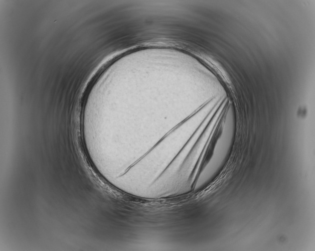 X0000096191000200802151459