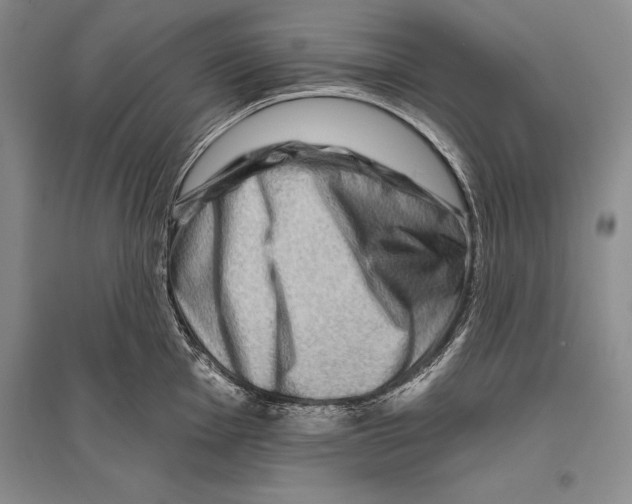 X0000096191001200802151459