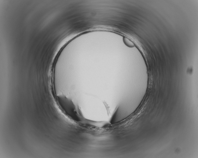 X0000096191003200802151459