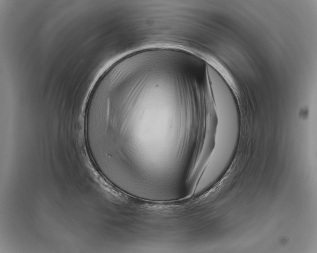 X0000096191004200802151459