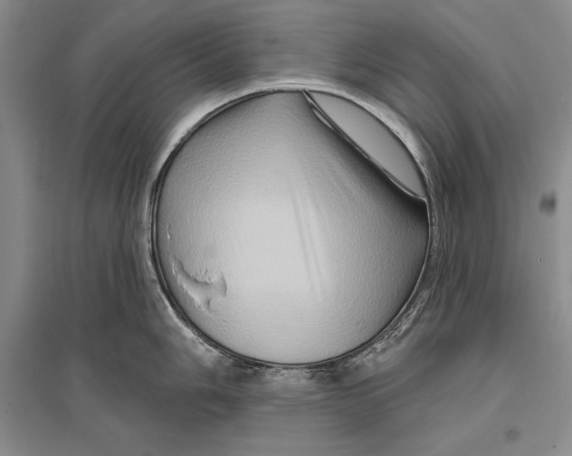 X0000096191006200802151459