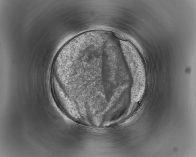 X0000096191007200802151459