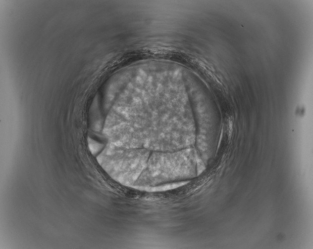 X0000096191009200802151458