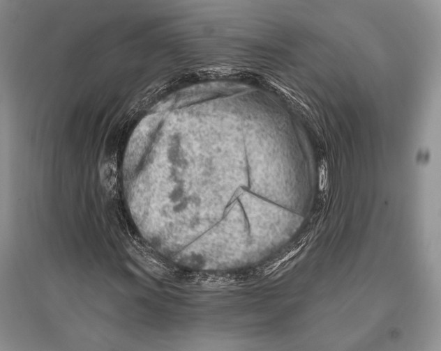 X0000096191011200802151458