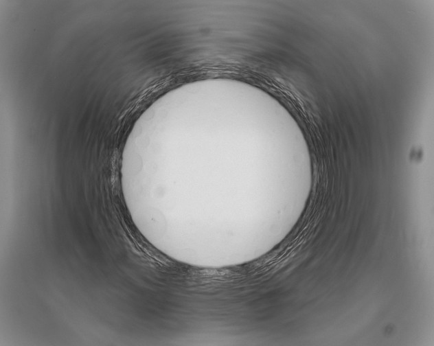 X0000096191012200802151458