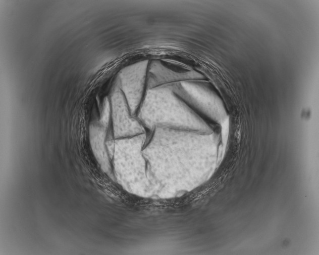 X0000096191014200802151458