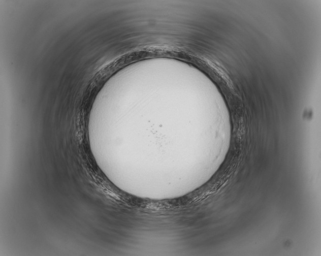 X0000096191015200802151458