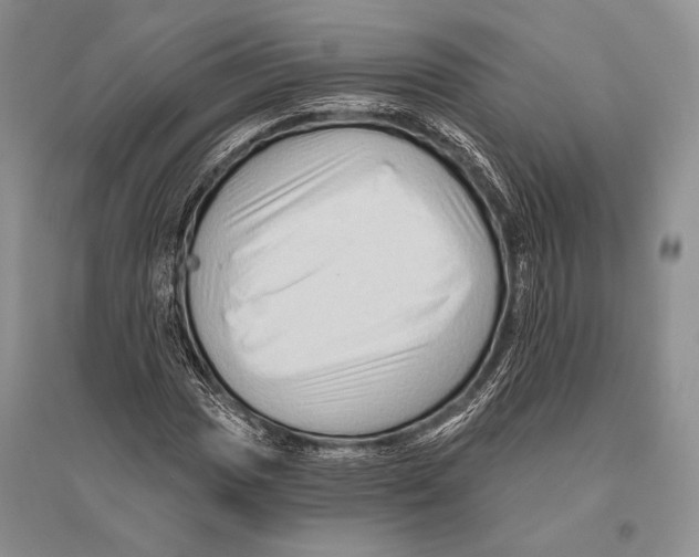 X0000096191017200802151458