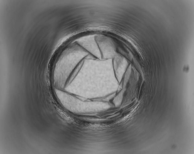 X0000096191022200802151458