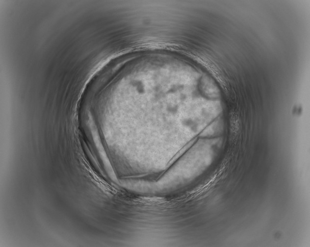 X0000096191023200802151458