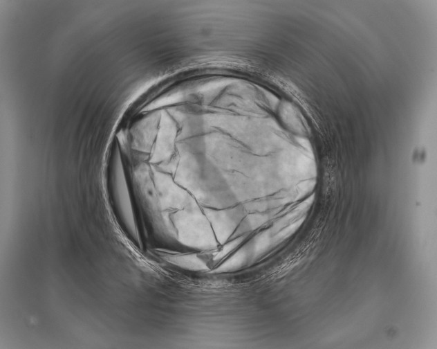 X0000096191024200802151458