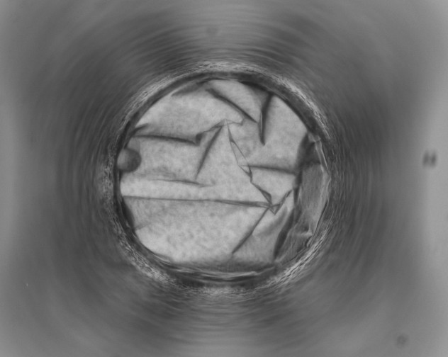 X0000096191025200802151458