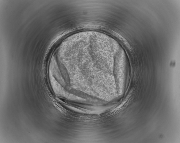 X0000096191027200802151459