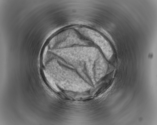 X0000096191028200802151459