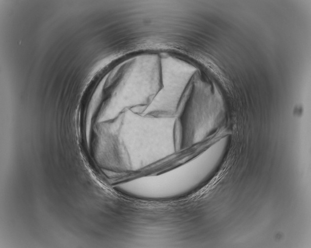 X0000096191030200802151459