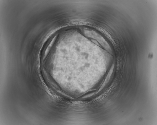 X0000096191031200802151459