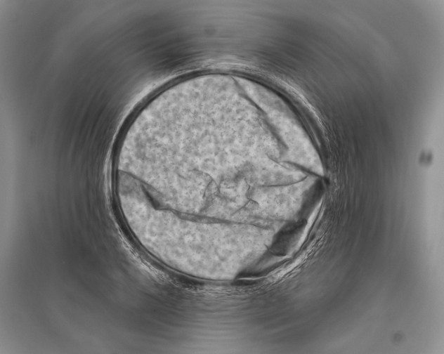 X0000096191032200802151459