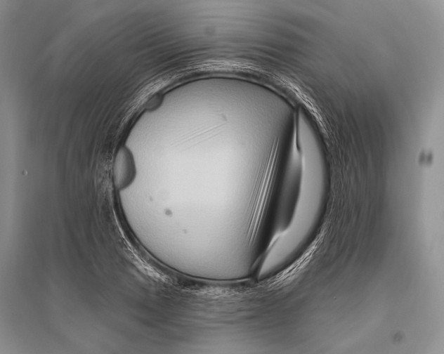 X0000096191033200802151459