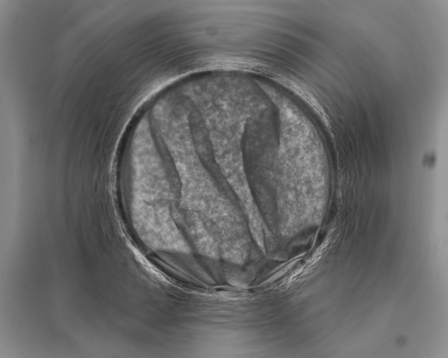 X0000096191037200802151459