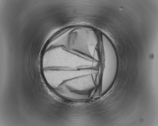 X0000096191038200802151459