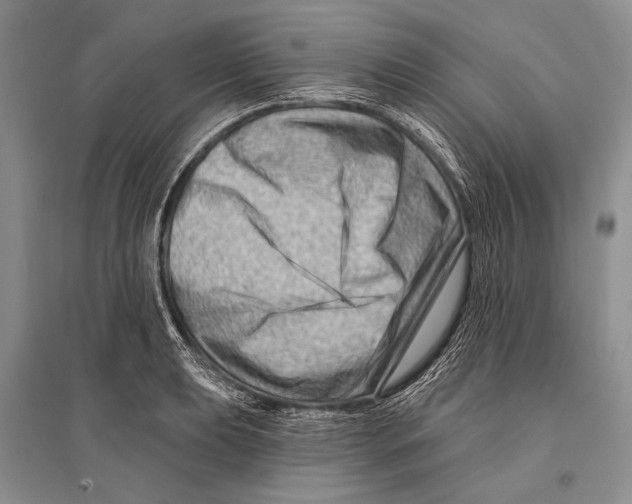 X0000096191039200802151459