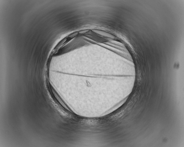 X0000096191040200802151459