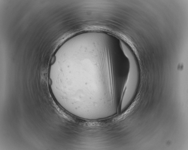 X0000096191041200802151459