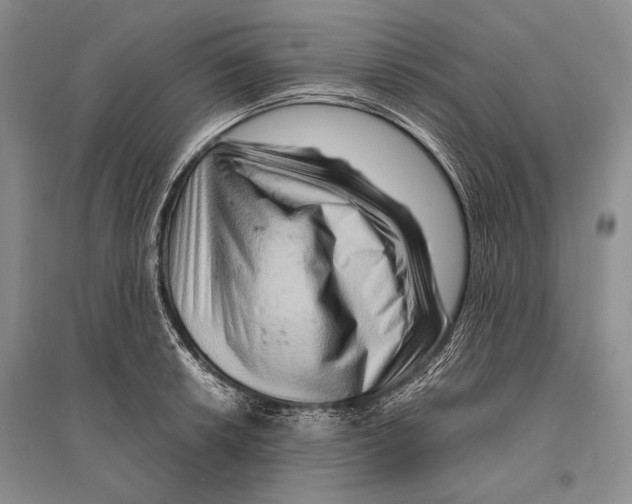 X0000096191042200802151459