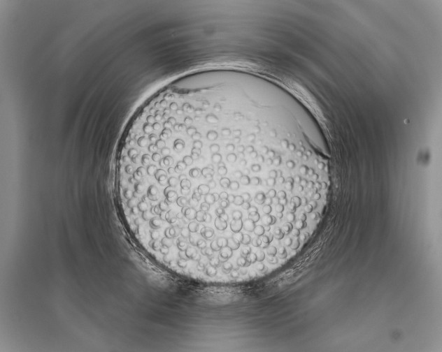 X0000096191044200802151459