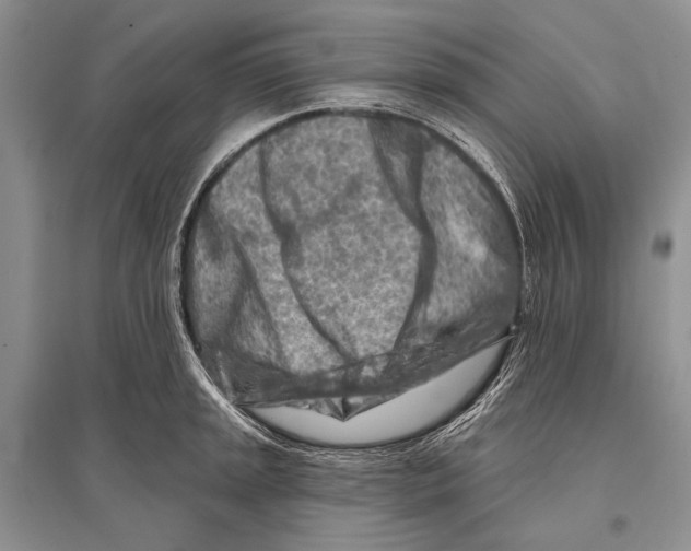 X0000096191045200802151459