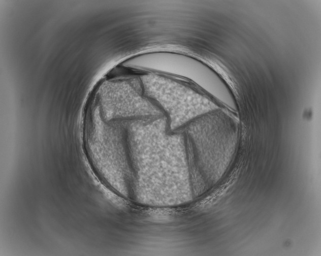 X0000096191046200802151459