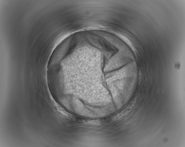 X0000096191047200802151459