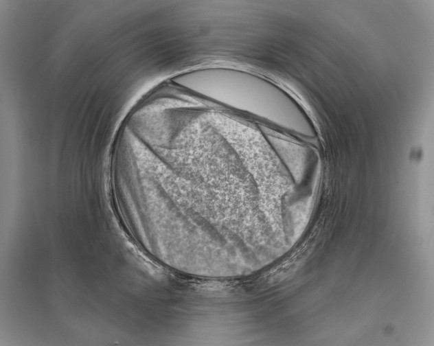 X0000096191048200802151459