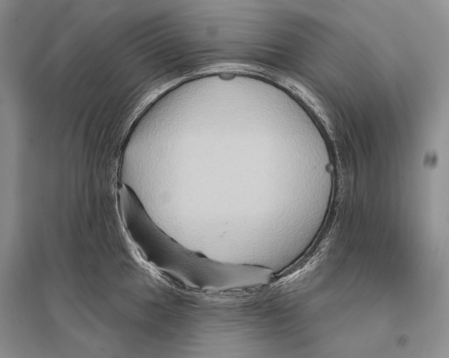 X0000096191049200802151459