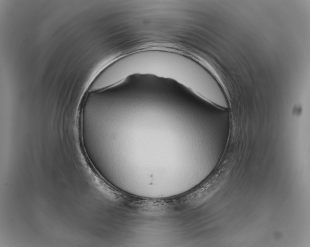 X0000096191050200802151459