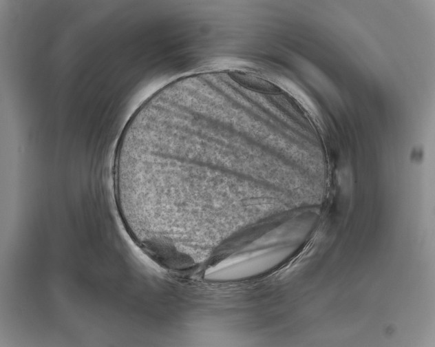 X0000096191055200802151459