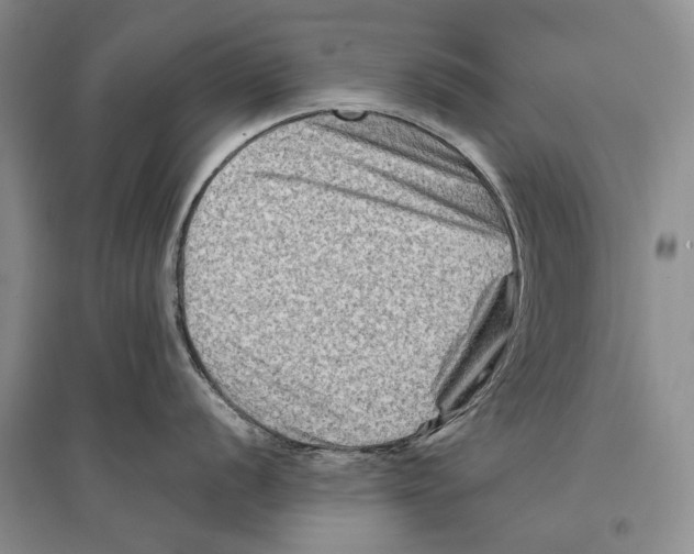 X0000096191056200802151459