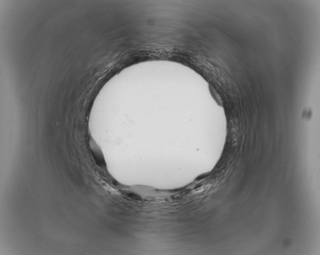 X0000096191057200802151458