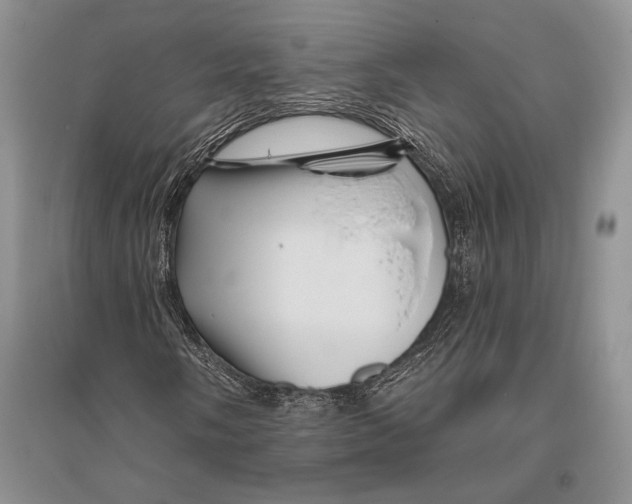 X0000096191058200802151458