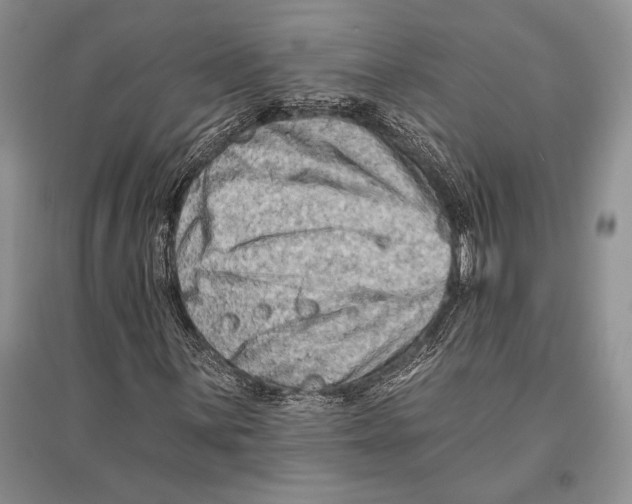 X0000096191059200802151458