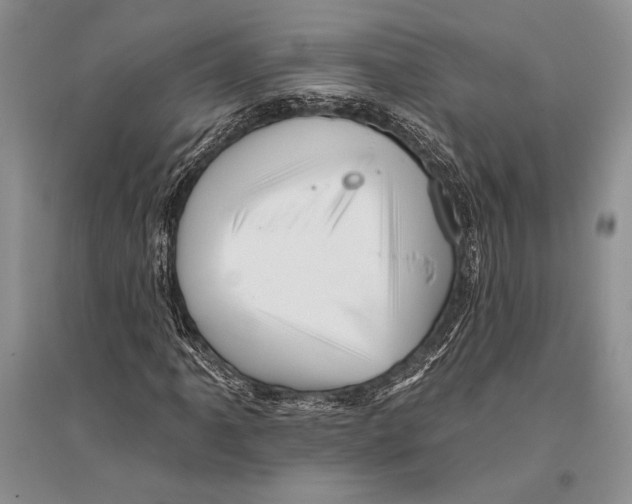 X0000096191061200802151458