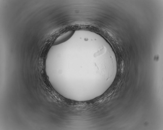 X0000096191062200802151458