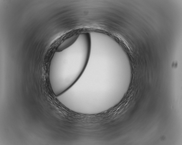 X0000096191064200802151458