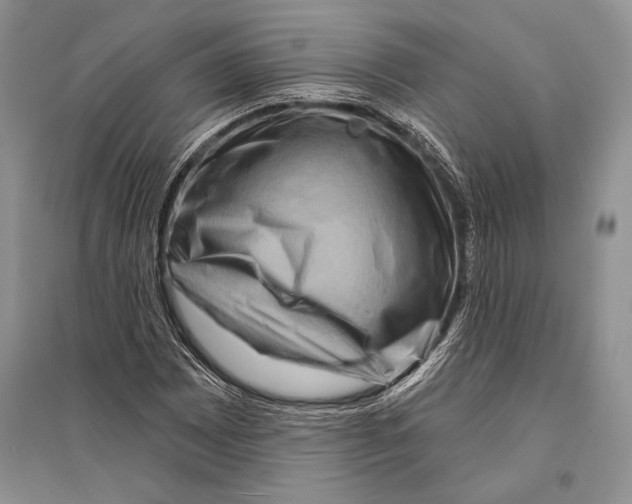 X0000096191065200802151458