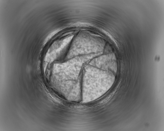 X0000096191066200802151458