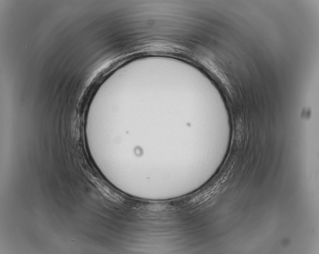 X0000096191067200802151458