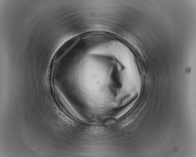 X0000096191068200802151458