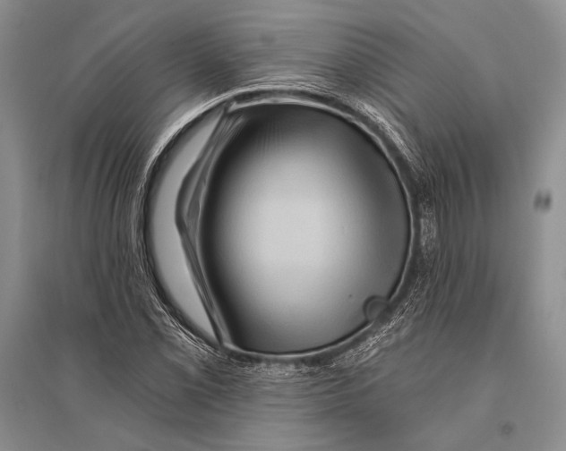 X0000096191069200802151458