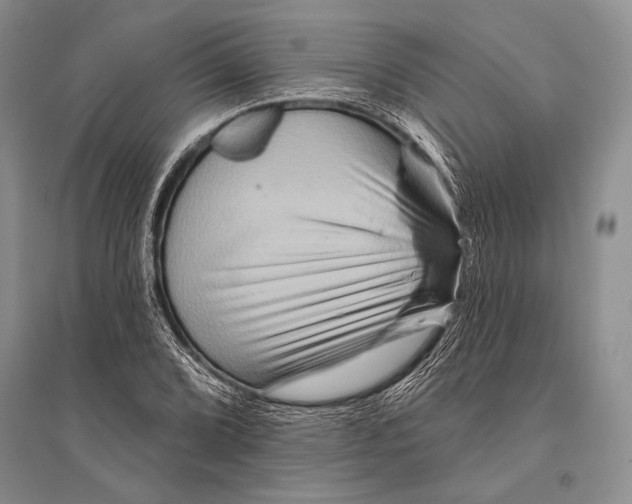 X0000096191072200802151458