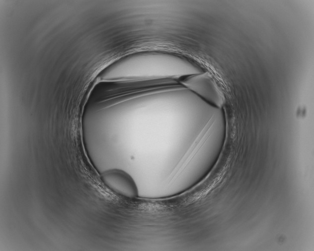 X0000096191073200802151458